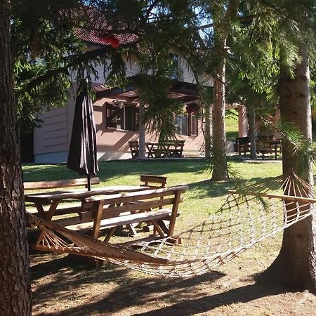 Vila Davidovic-Fruska Gora Mandelos エクステリア 写真