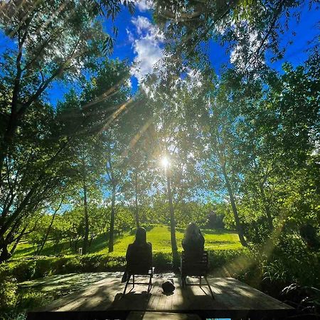 Vila Davidovic-Fruska Gora Mandelos エクステリア 写真