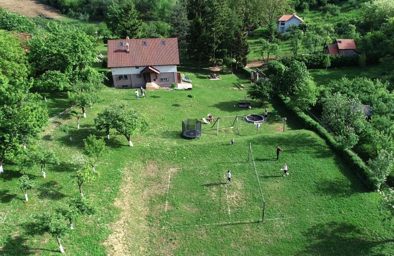 Vila Davidovic-Fruska Gora Mandelos エクステリア 写真