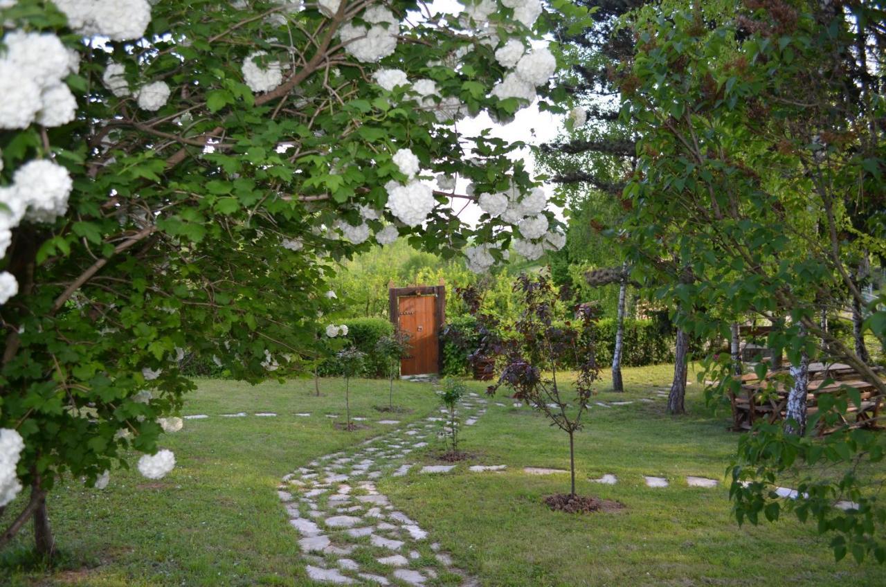 Vila Davidovic-Fruska Gora Mandelos エクステリア 写真