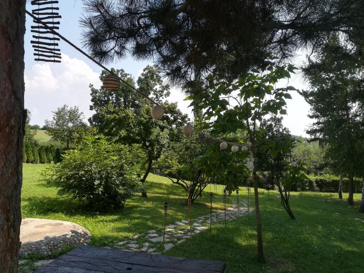 Vila Davidovic-Fruska Gora Mandelos エクステリア 写真