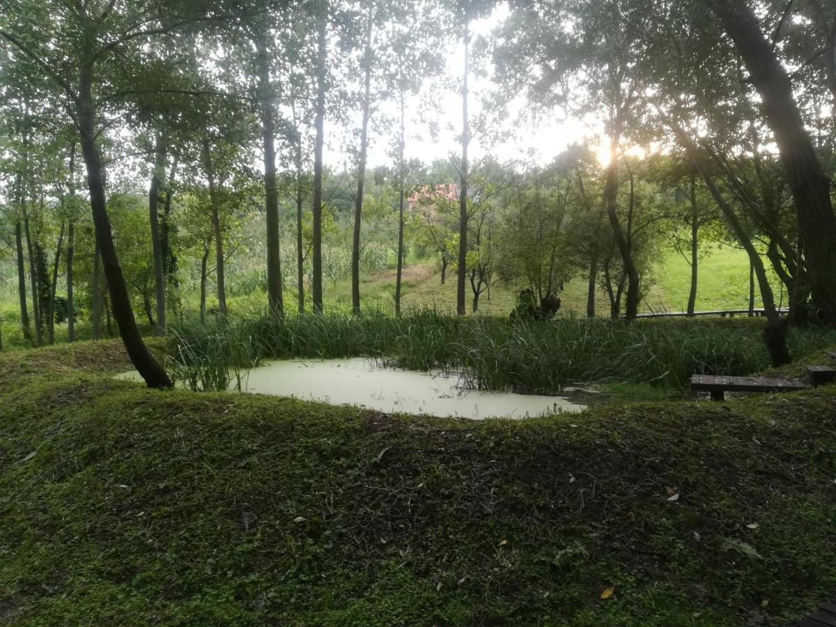Vila Davidovic-Fruska Gora Mandelos エクステリア 写真