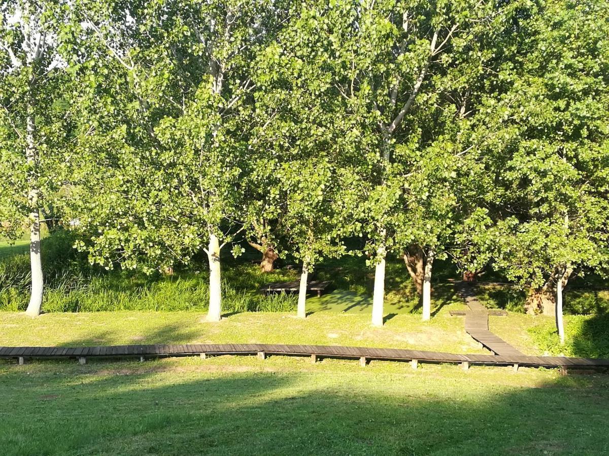 Vila Davidovic-Fruska Gora Mandelos エクステリア 写真