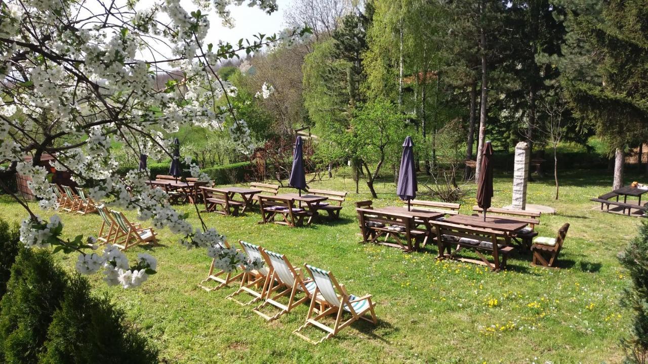 Vila Davidovic-Fruska Gora Mandelos エクステリア 写真