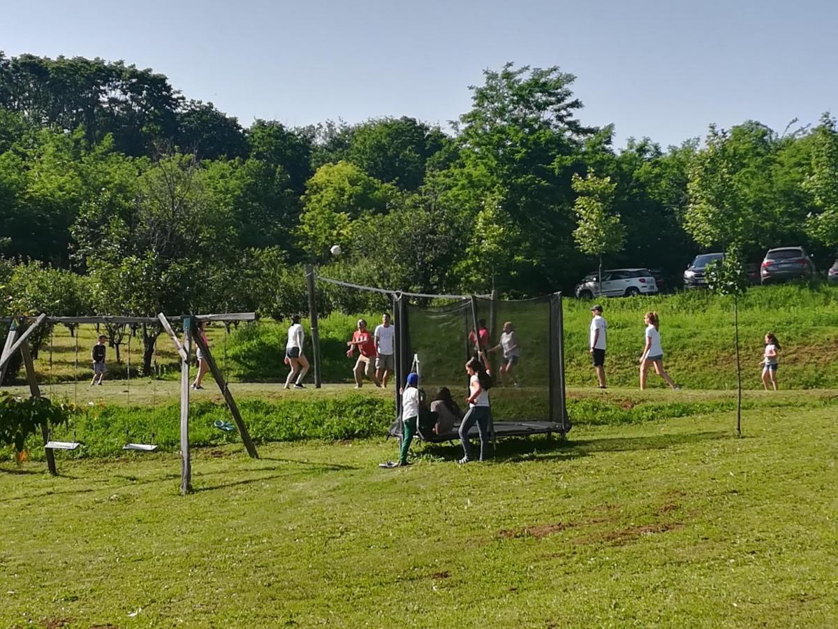Vila Davidovic-Fruska Gora Mandelos エクステリア 写真