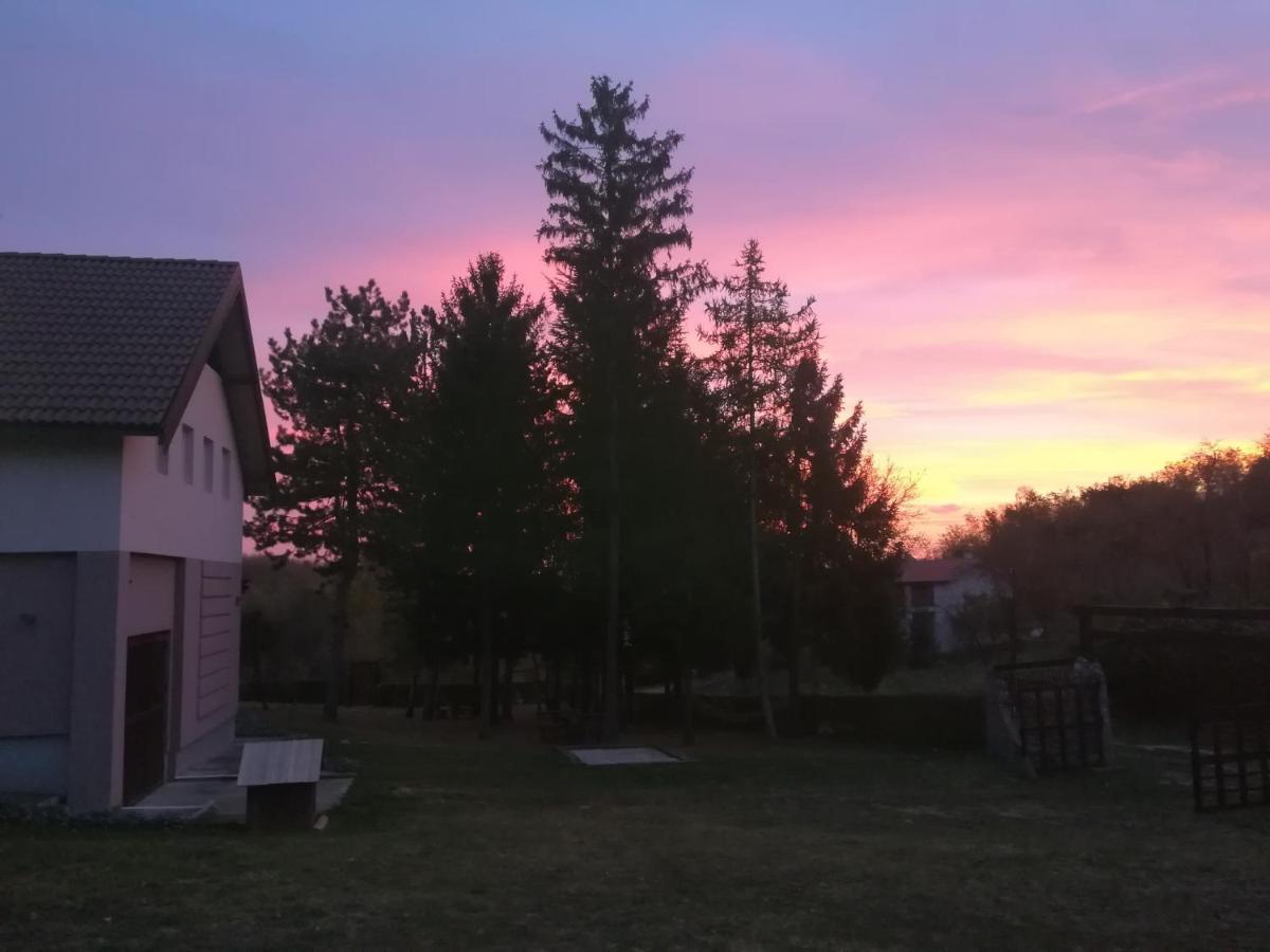 Vila Davidovic-Fruska Gora Mandelos エクステリア 写真