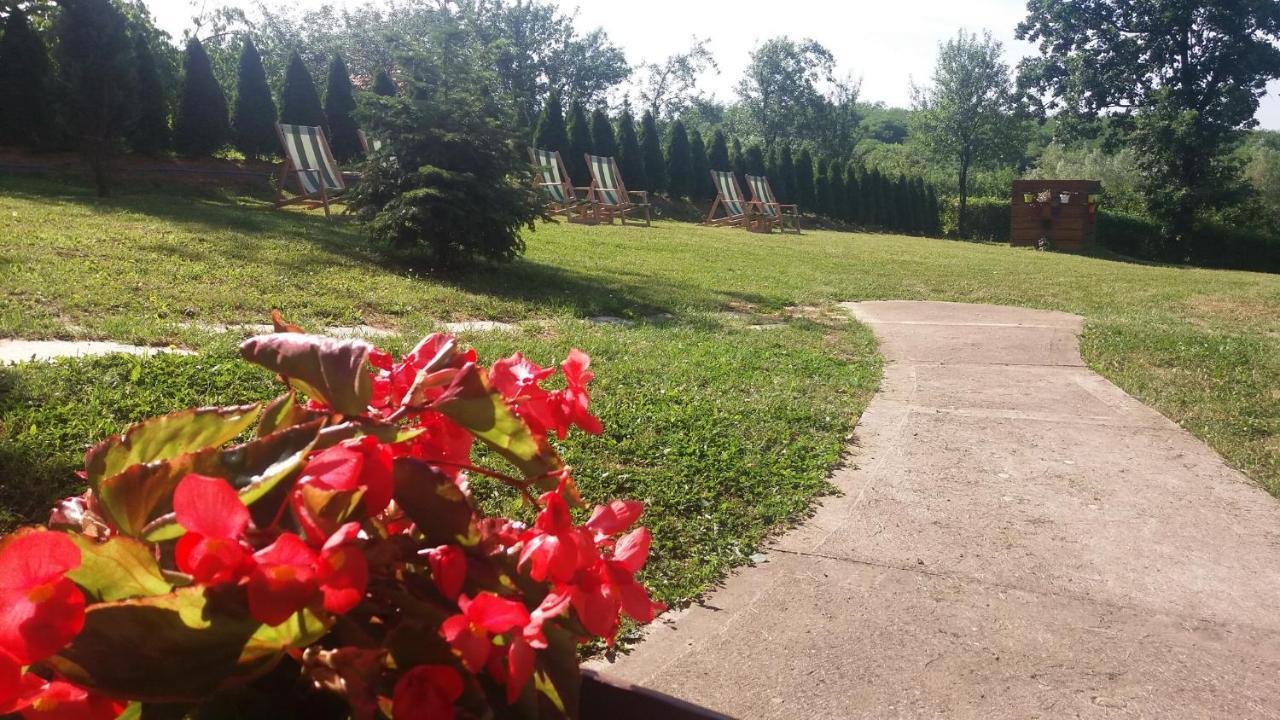 Vila Davidovic-Fruska Gora Mandelos エクステリア 写真