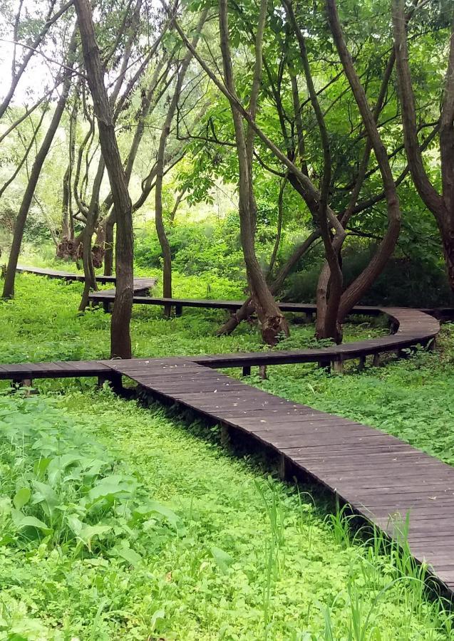 Vila Davidovic-Fruska Gora Mandelos エクステリア 写真