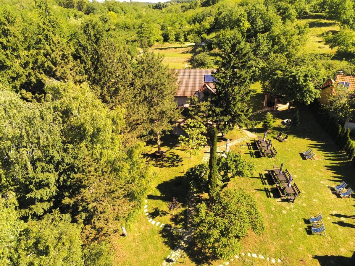 Vila Davidovic-Fruska Gora Mandelos エクステリア 写真