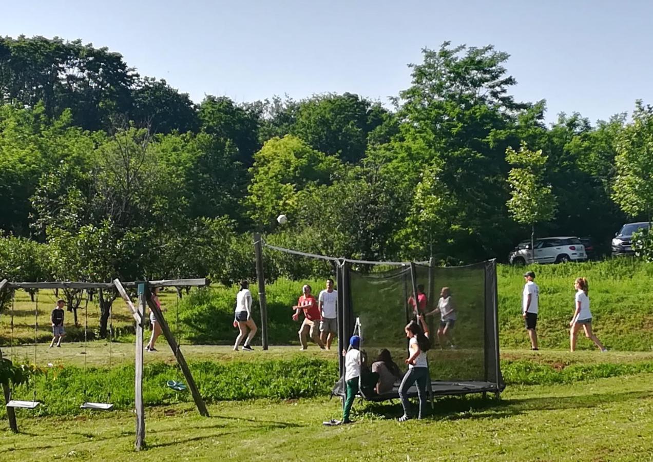 Vila Davidovic-Fruska Gora Mandelos エクステリア 写真