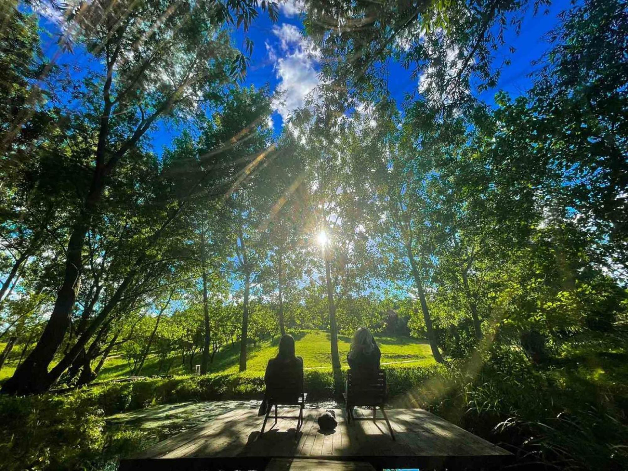 Vila Davidovic-Fruska Gora Mandelos エクステリア 写真