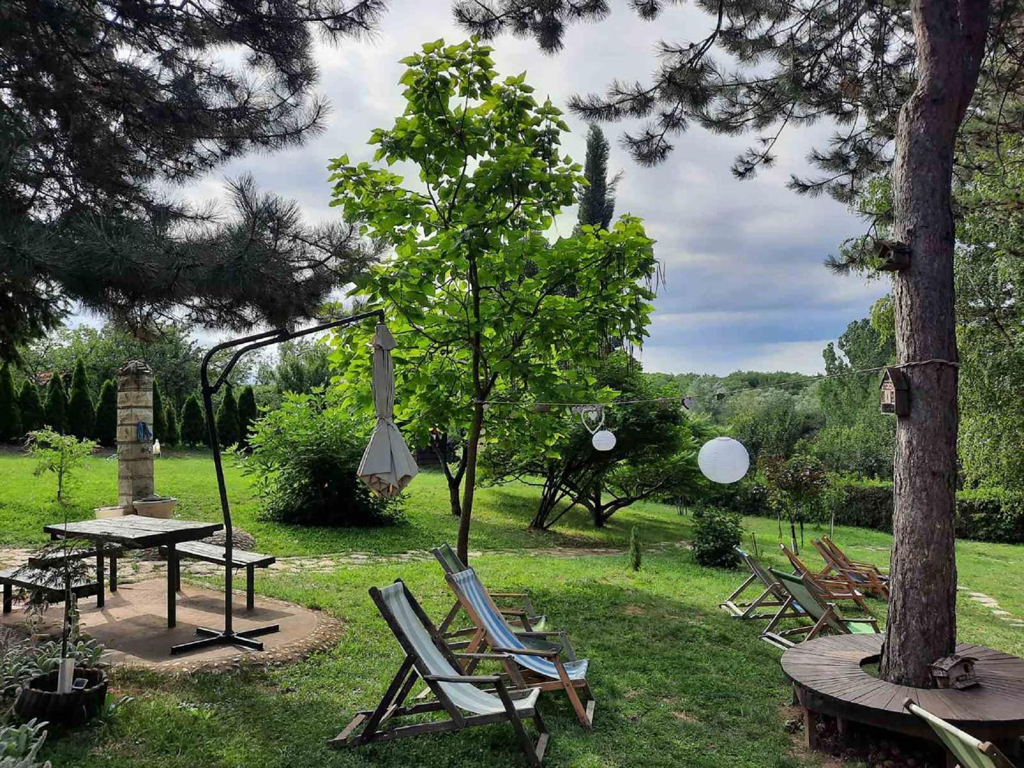 Vila Davidovic-Fruska Gora Mandelos エクステリア 写真