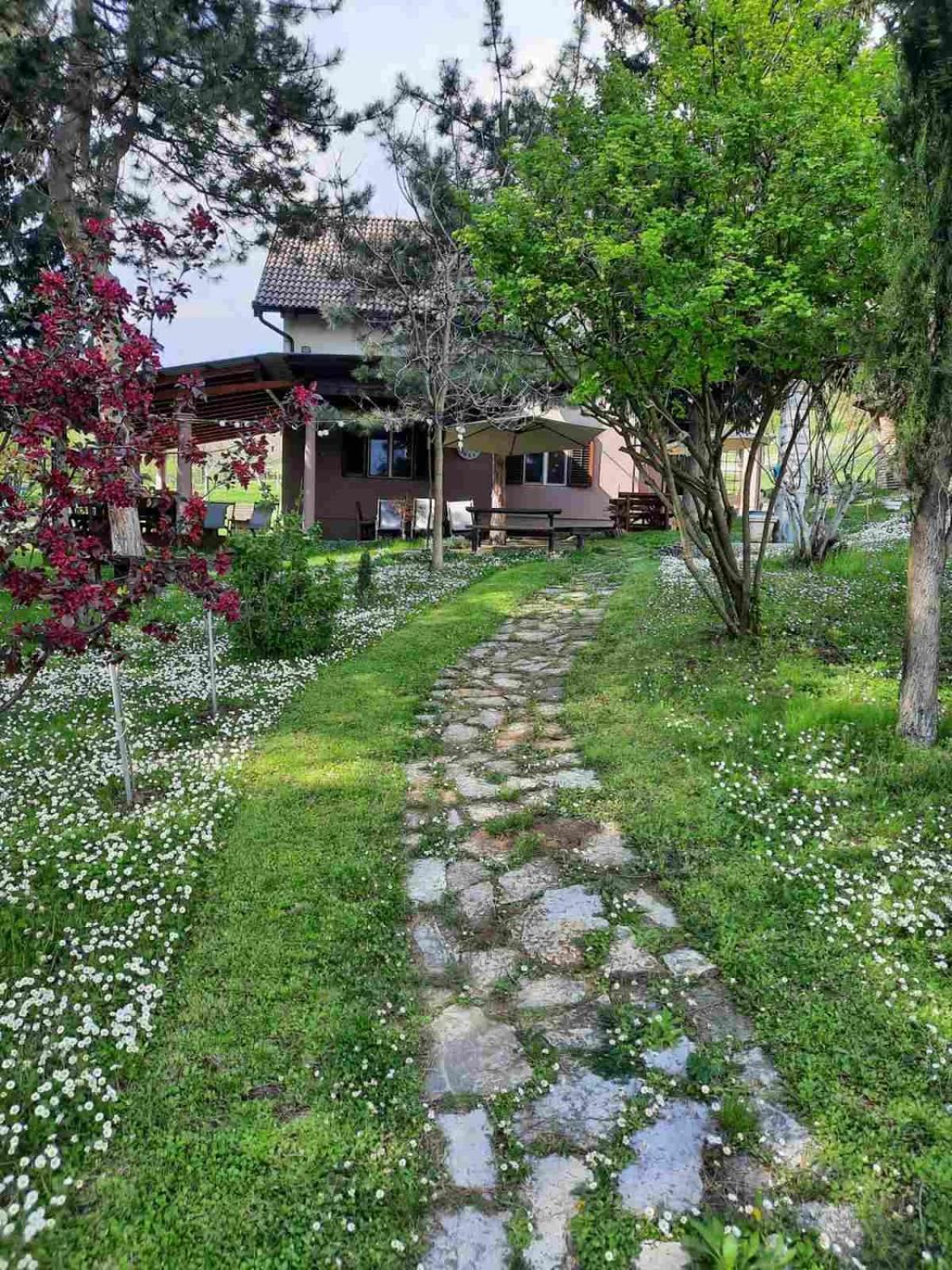 Vila Davidovic-Fruska Gora Mandelos エクステリア 写真