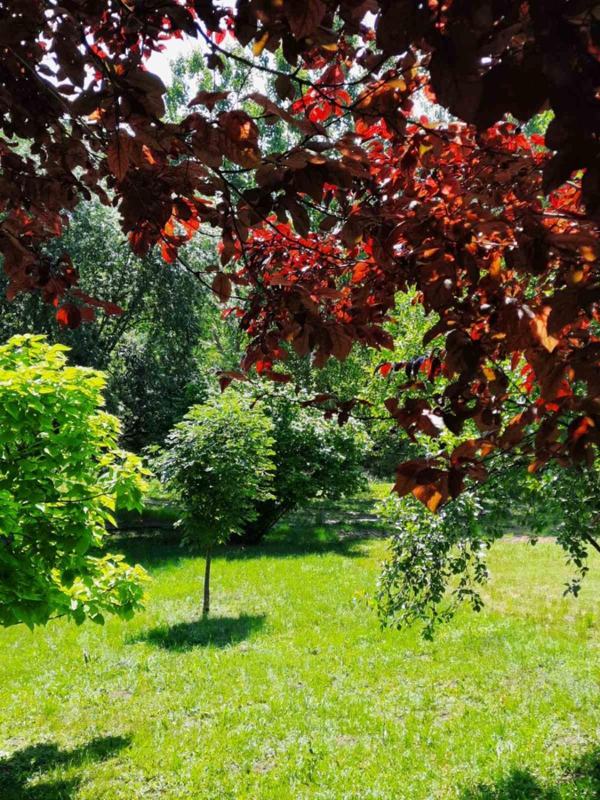 Vila Davidovic-Fruska Gora Mandelos エクステリア 写真