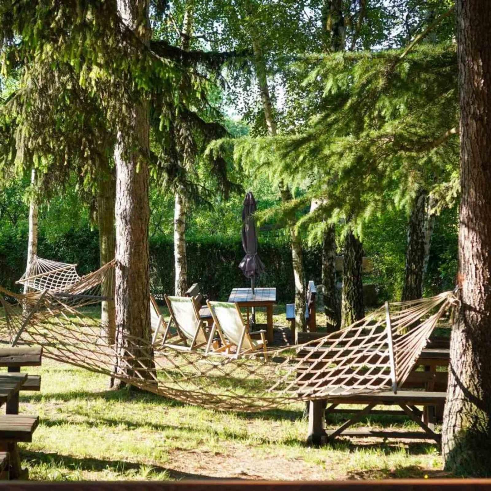 Vila Davidovic-Fruska Gora Mandelos エクステリア 写真