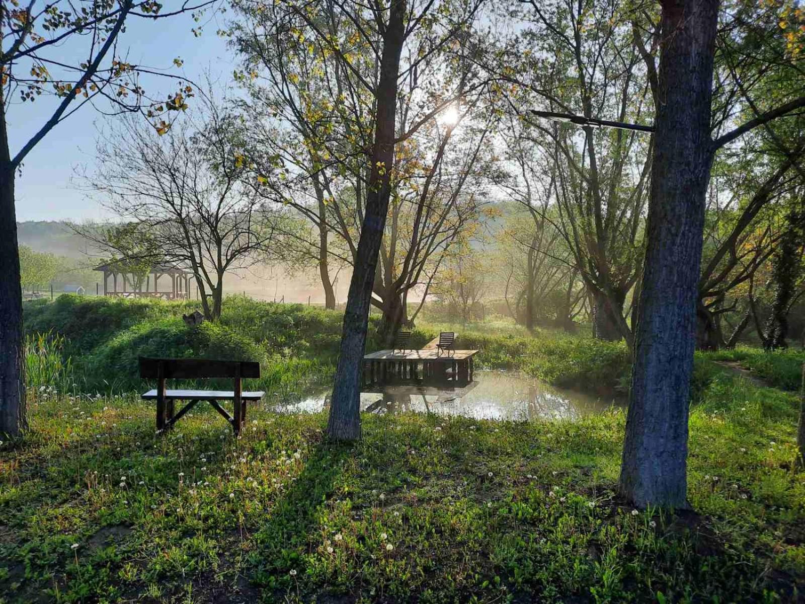 Vila Davidovic-Fruska Gora Mandelos エクステリア 写真