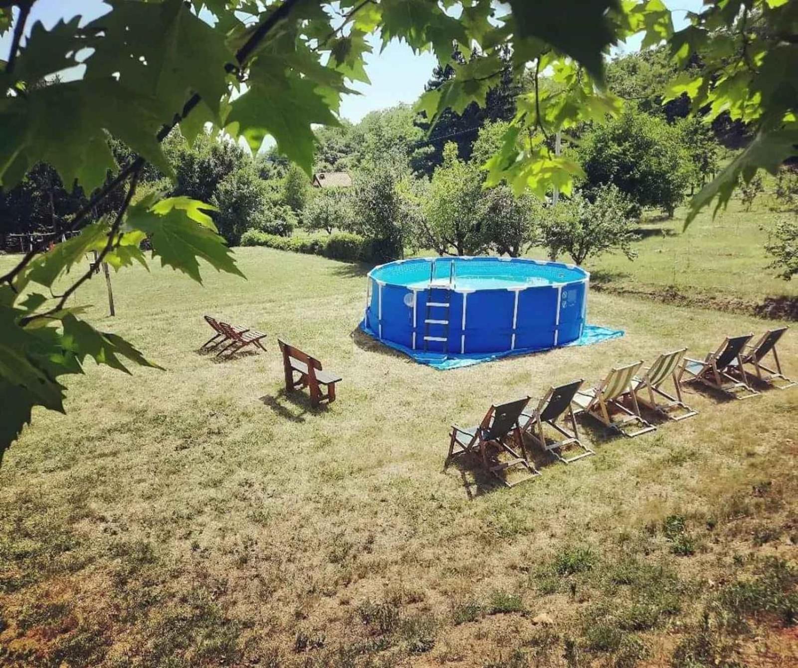 Vila Davidovic-Fruska Gora Mandelos エクステリア 写真
