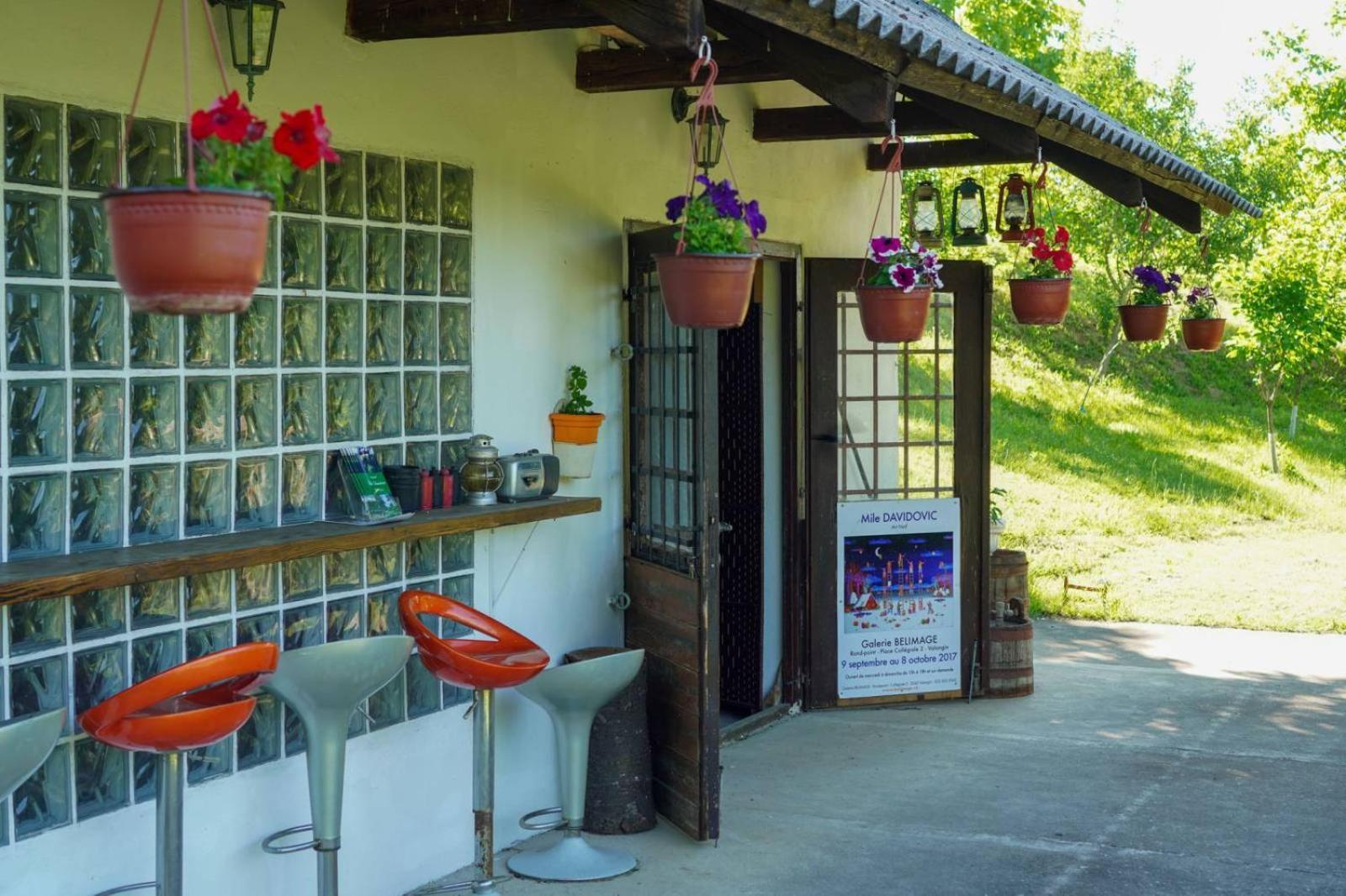 Vila Davidovic-Fruska Gora Mandelos エクステリア 写真