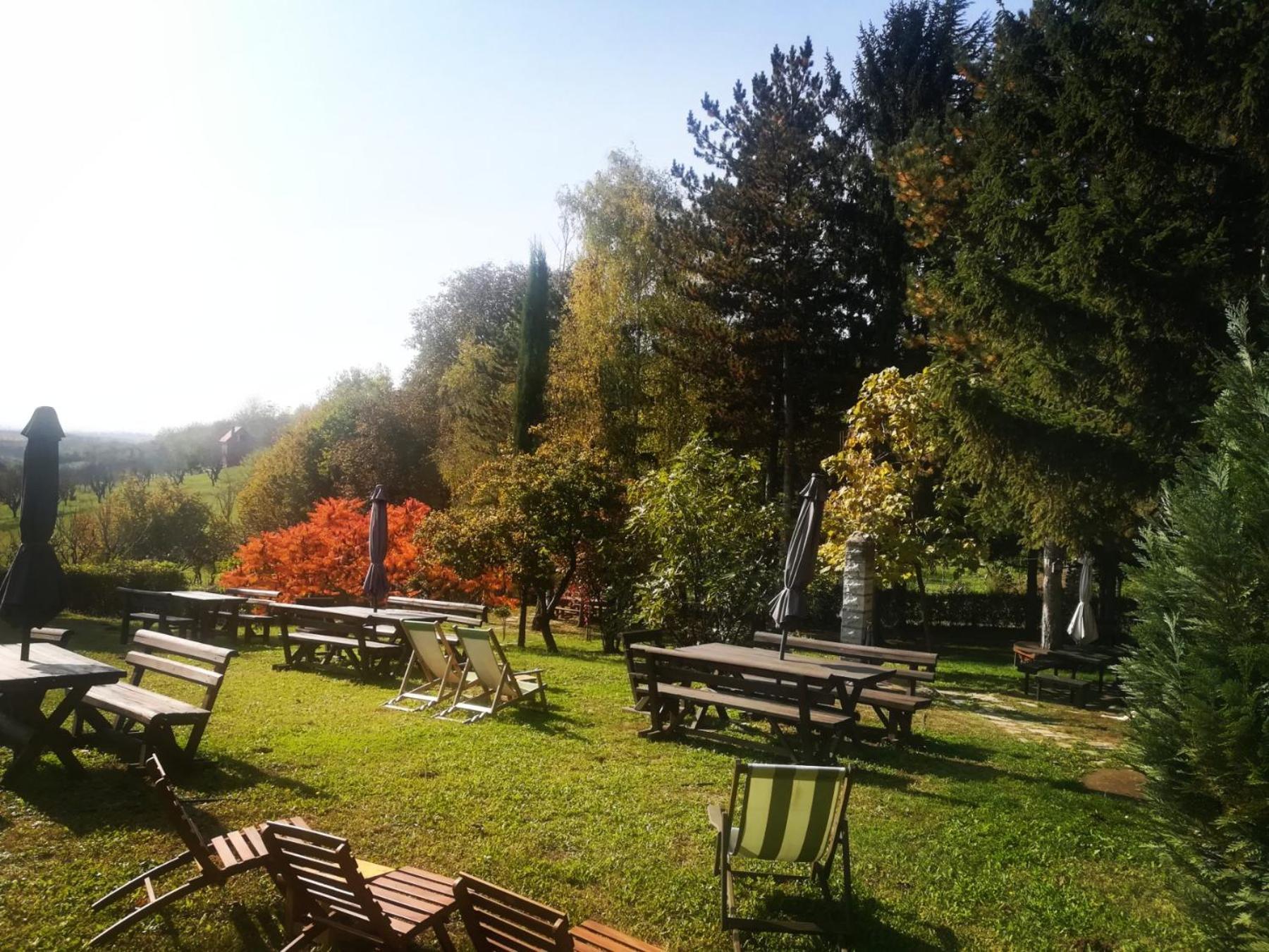Vila Davidovic-Fruska Gora Mandelos エクステリア 写真