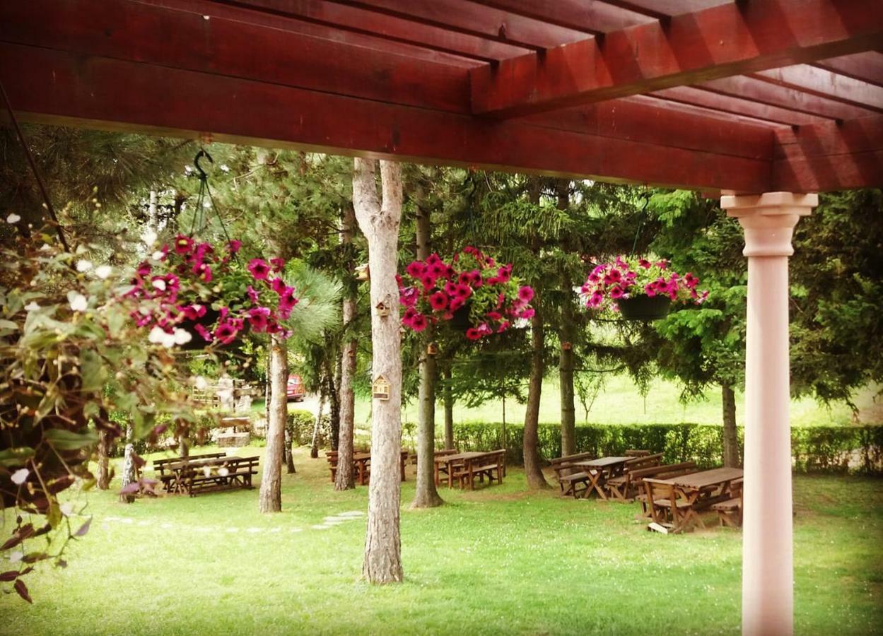 Vila Davidovic-Fruska Gora Mandelos エクステリア 写真