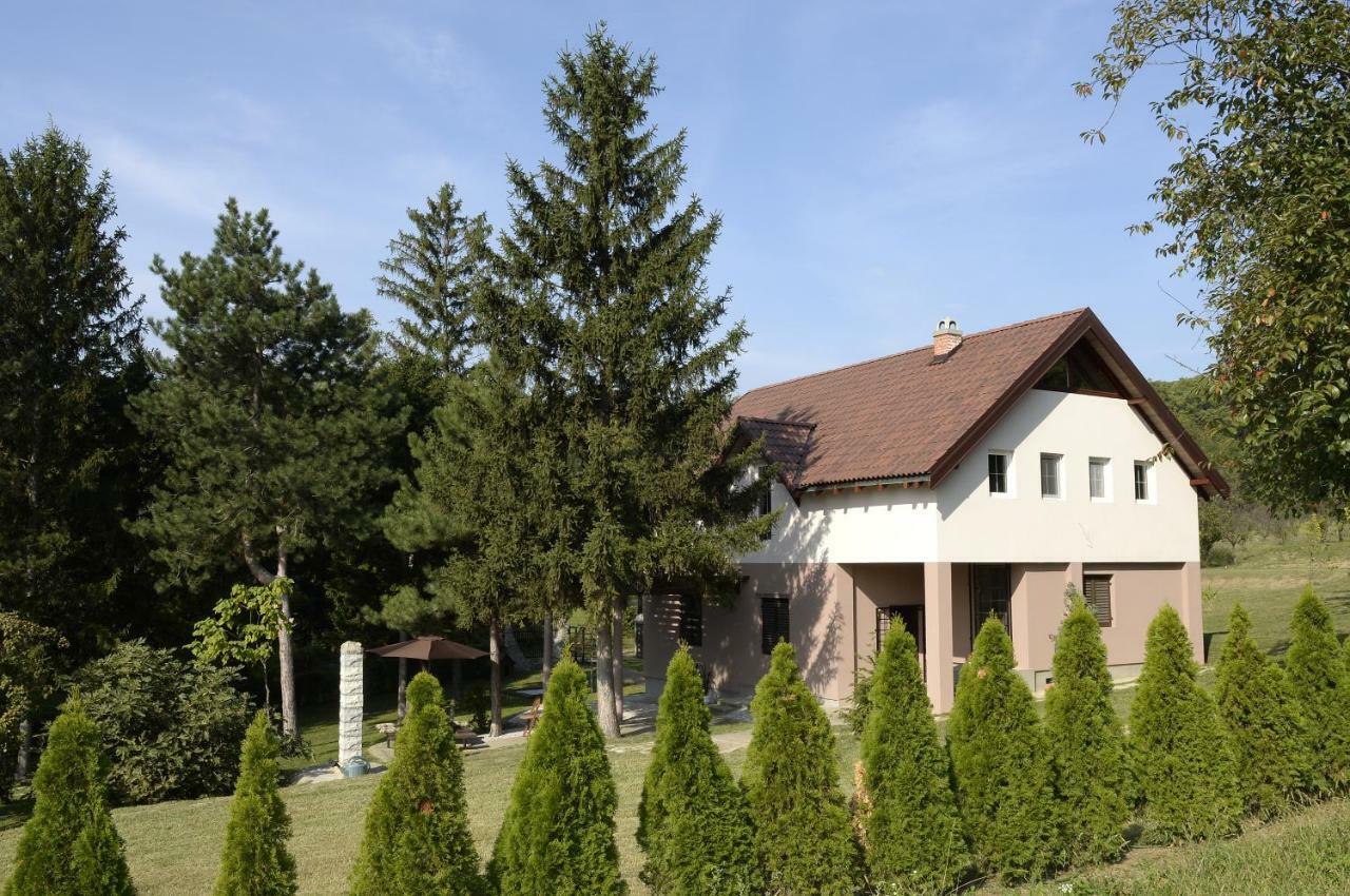 Vila Davidovic-Fruska Gora Mandelos エクステリア 写真