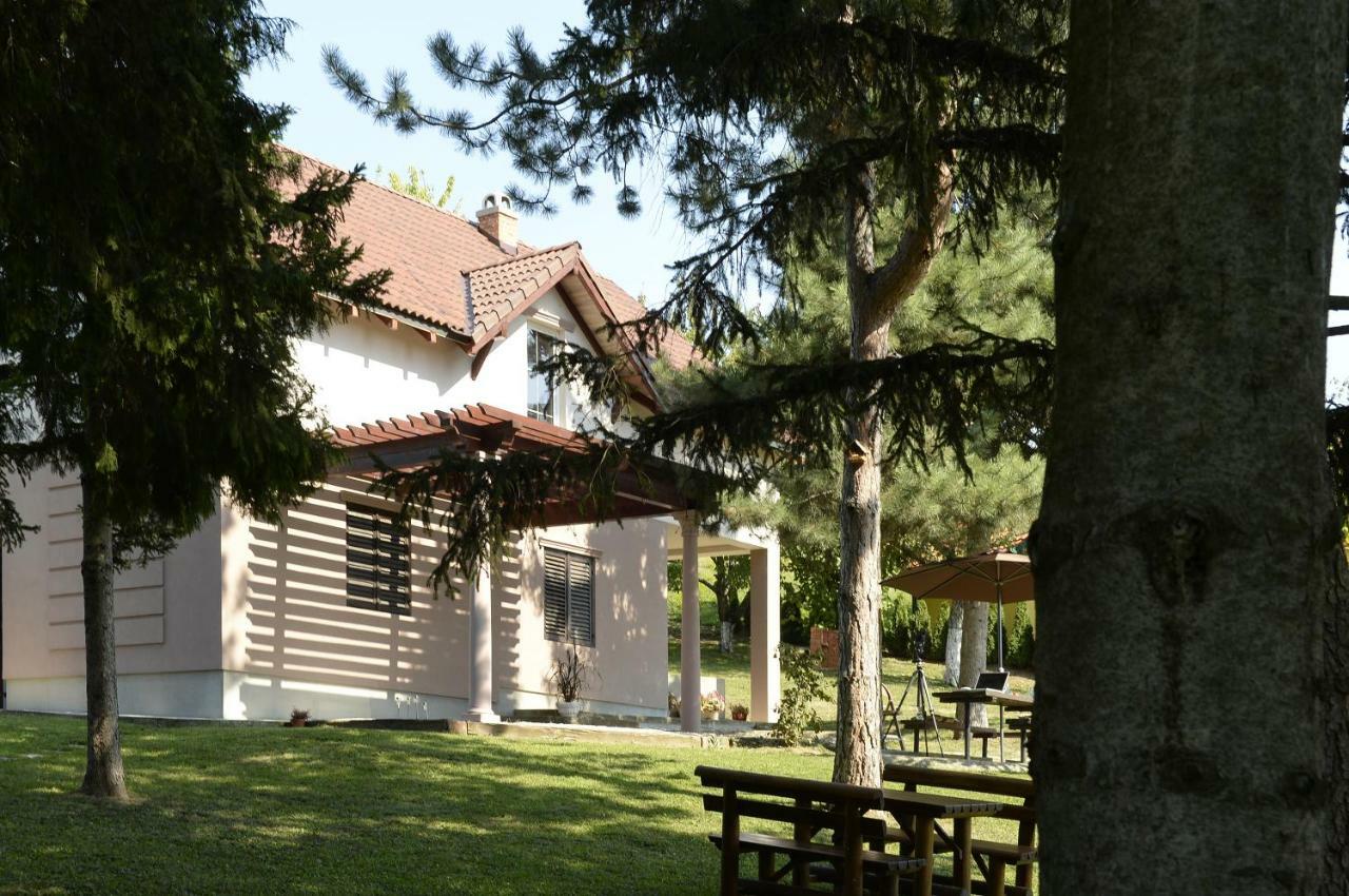 Vila Davidovic-Fruska Gora Mandelos エクステリア 写真