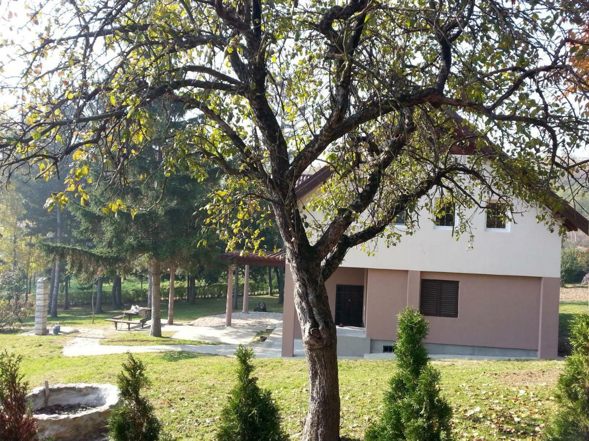 Vila Davidovic-Fruska Gora Mandelos エクステリア 写真