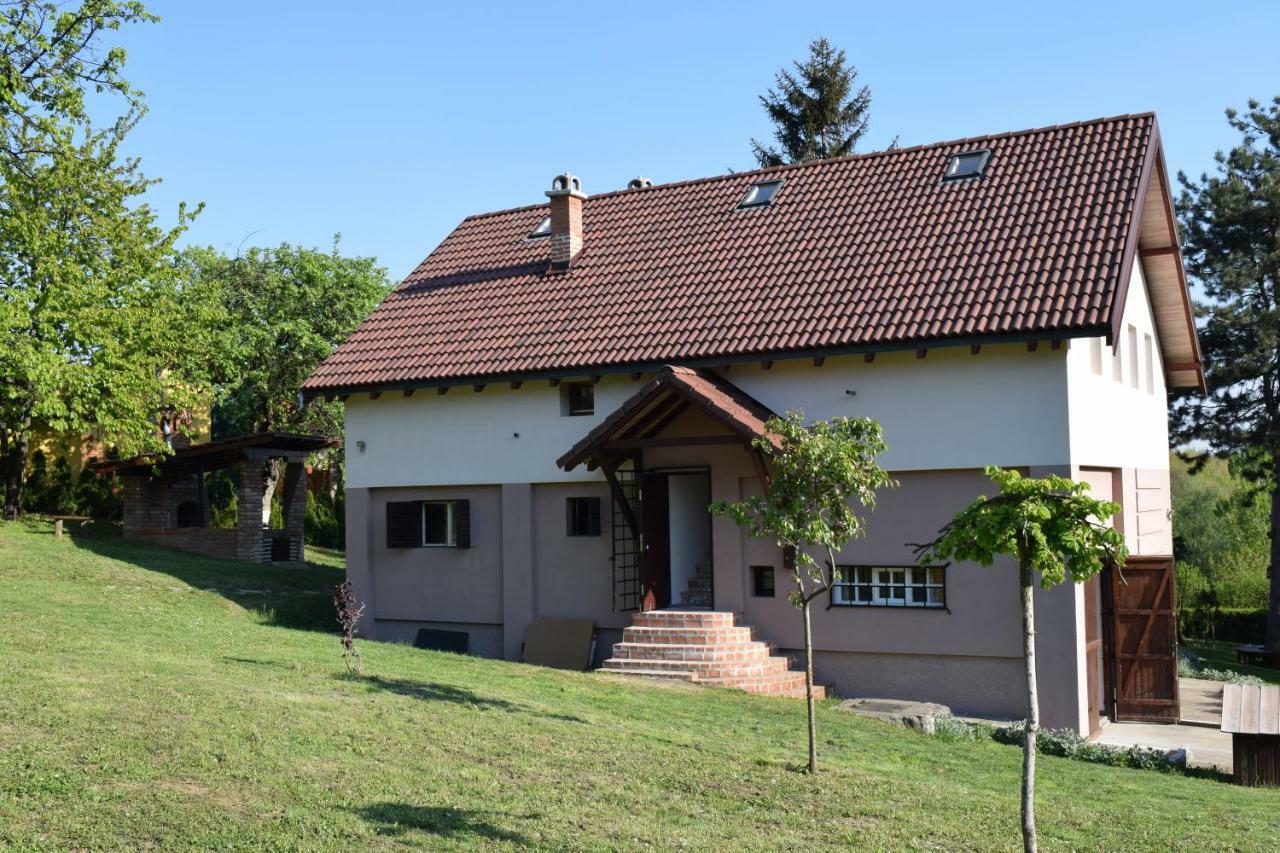 Vila Davidovic-Fruska Gora Mandelos エクステリア 写真