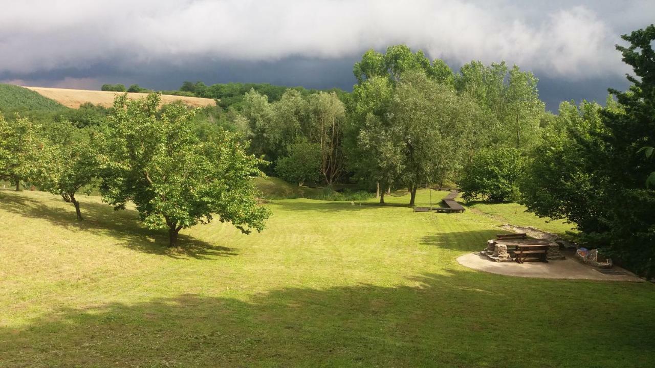 Vila Davidovic-Fruska Gora Mandelos エクステリア 写真